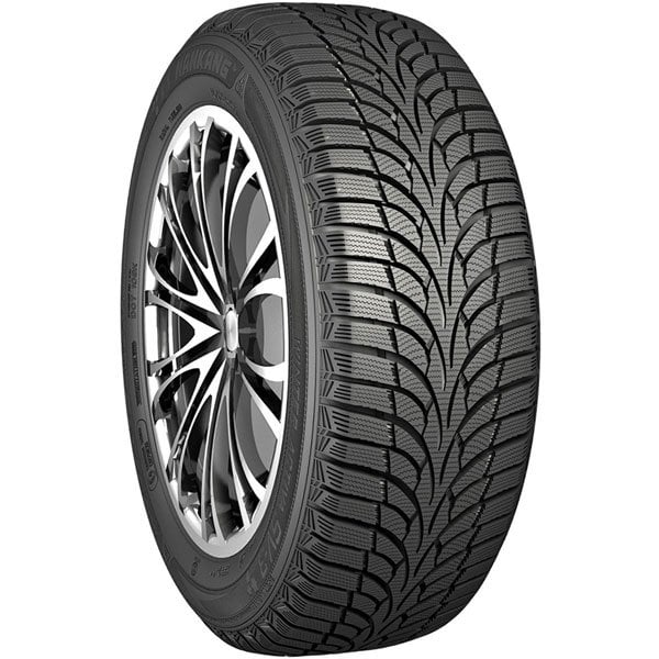 Nankang 255/40R20 101V XL Winter Activa SV-3 (Kış) (2025)